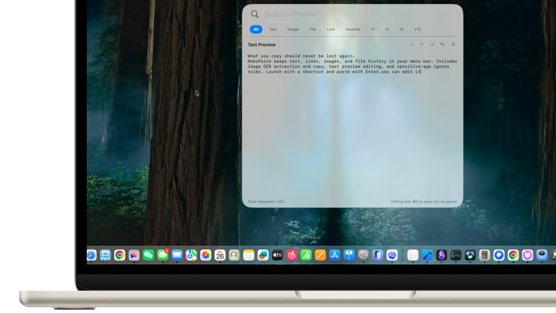 Text preview editing (real app screenshot)
