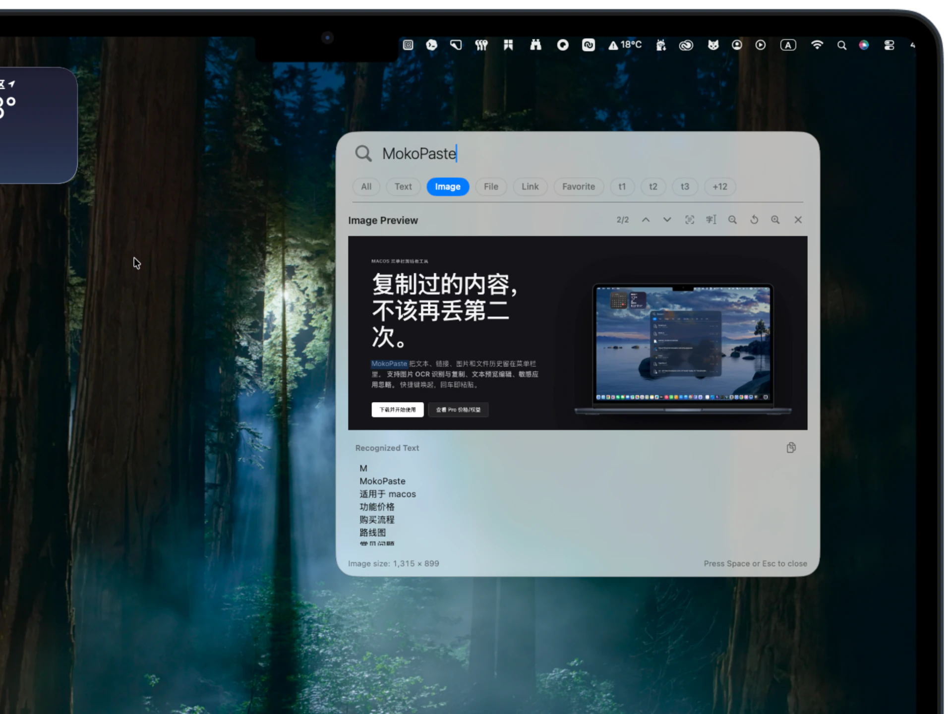OCR 识别界面（真实应用截图）